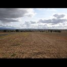 Die typische Landschaft in dieser Gegend